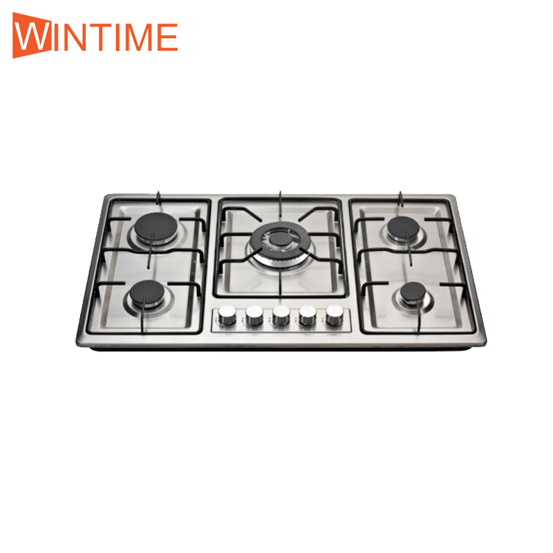 SS panel gas hob